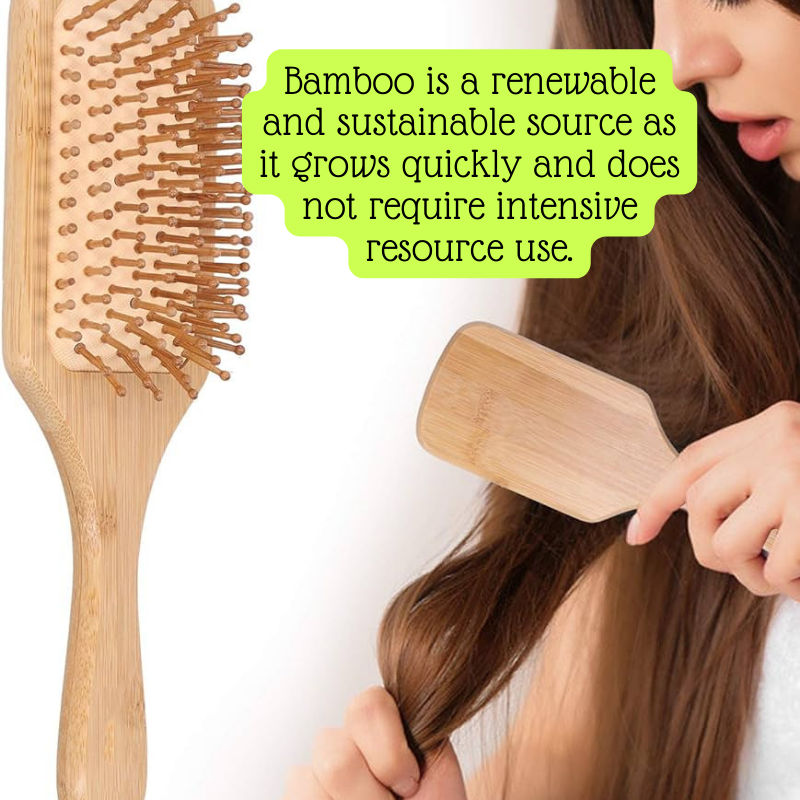 Wood Bamboo Hairbrush